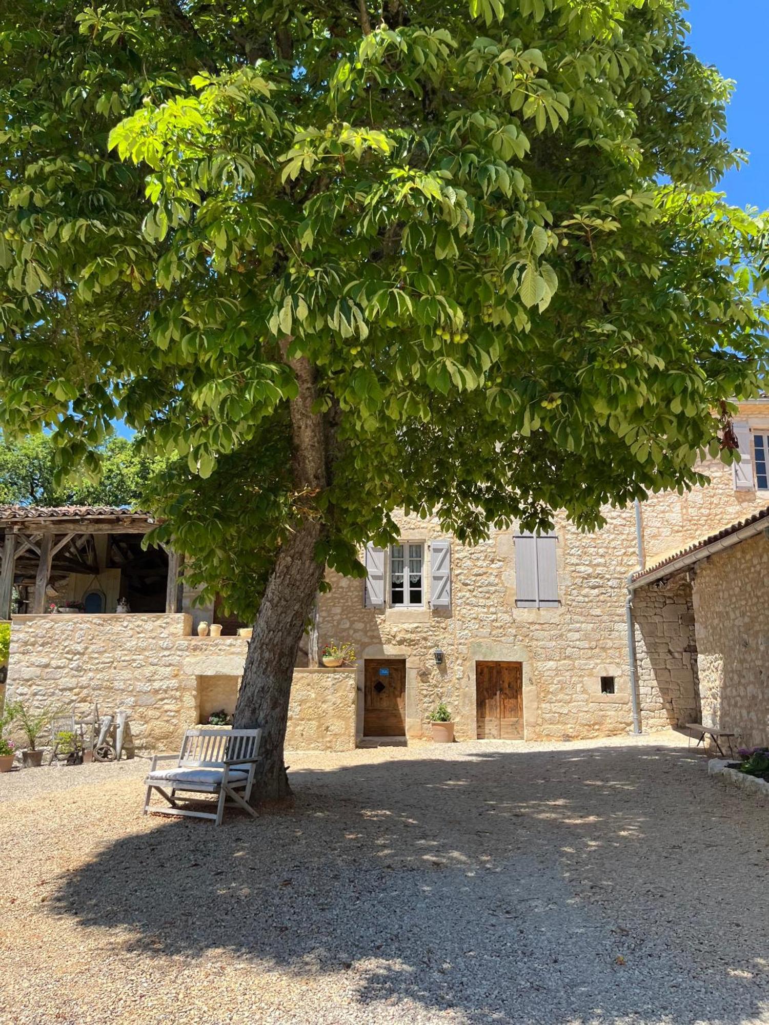 Maison D'Hotes De La Boissiere Andillac Exterior foto